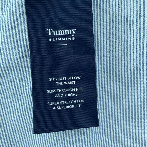 Charter Club Plus Size Railroad-Striped Skinny Ankle Jeans Sz 12 - Picture 8 of 8